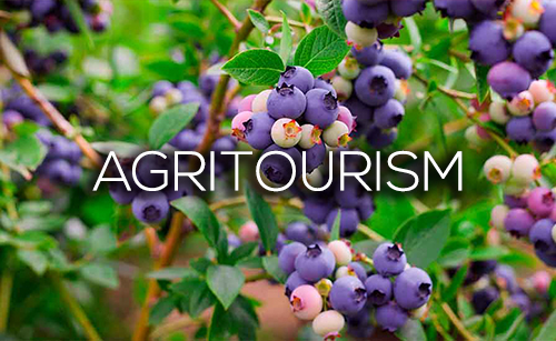 agri-waypoints