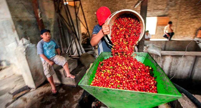 qti-itinerary-agriculture-coffee-1