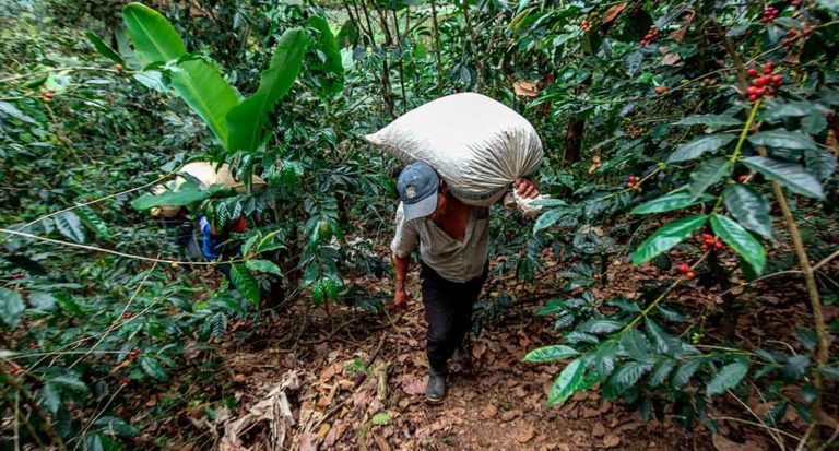qti-itinerary-agriculture-coffee-2