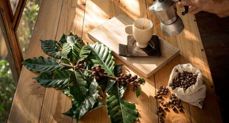 qti-itinerary-agriculture-coffee-9