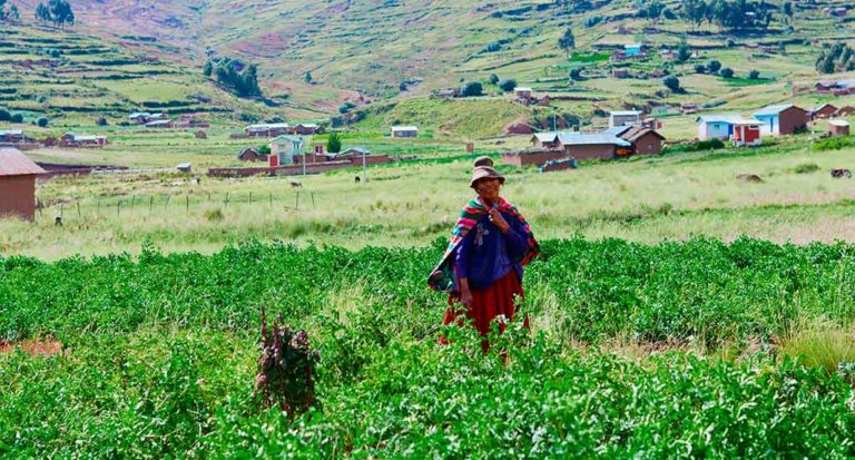 qti-itinerary-agriculture-field-23