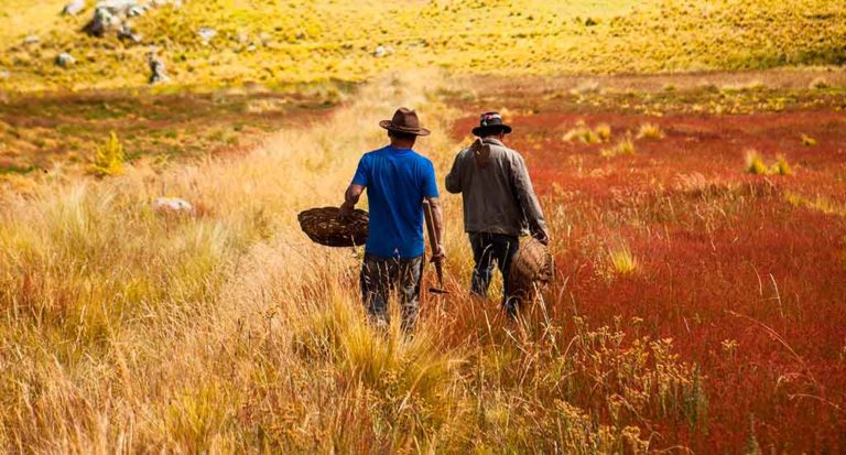 qti-itinerary-agriculture-field-8