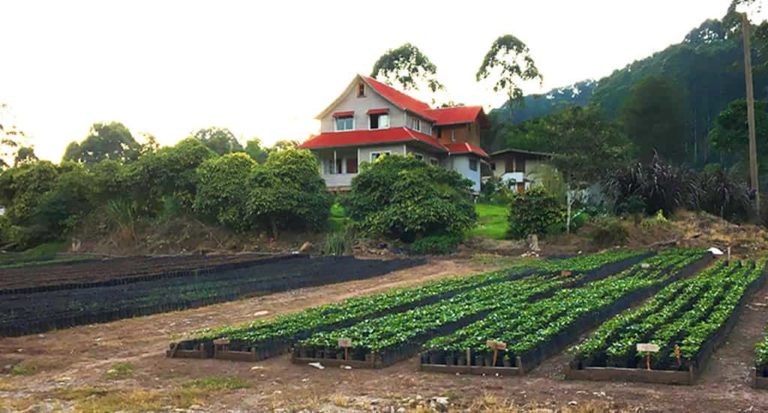 qti-itinerary-agriculture-la-merced-2