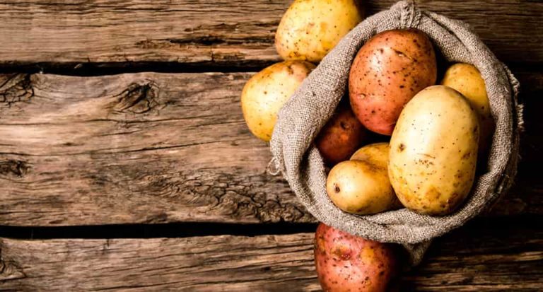 qti-itinerary-agriculture-potato-13