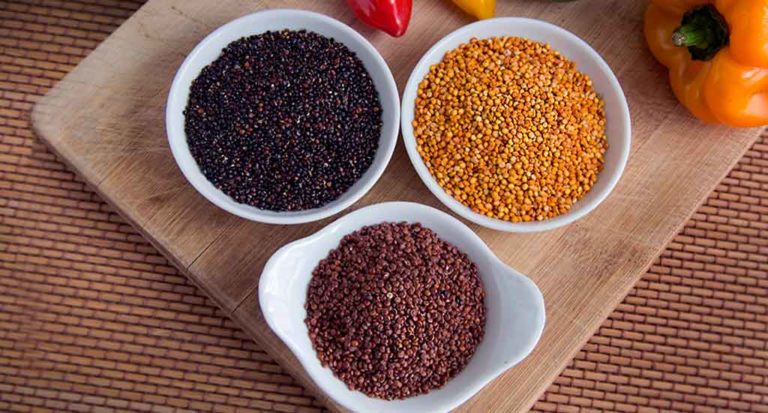 qti-itinerary-agriculture-quinoa-5