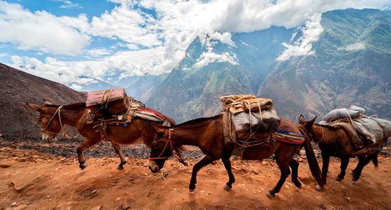 qti-itinerary-choquequirao-trek-5