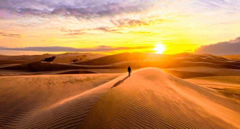 qti-itinerary-ica-desert-picnic-3