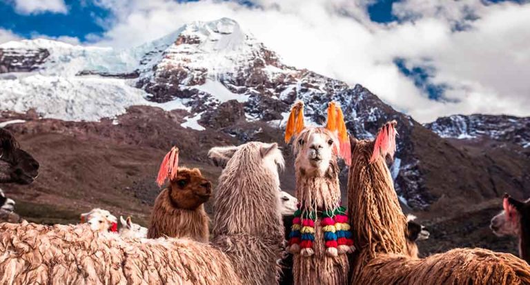 qti-itinerary-sacred-valley-14