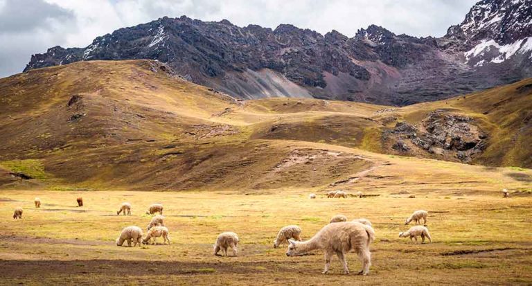 qti-itinerary-sacred-valley-16