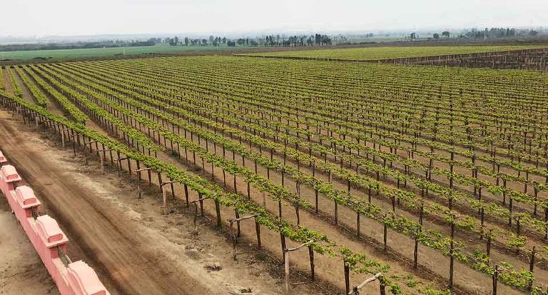 xp-itinerary-wine-roads-3