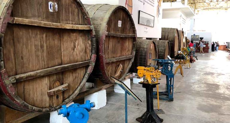 xp-itinerary-wine-roads-4